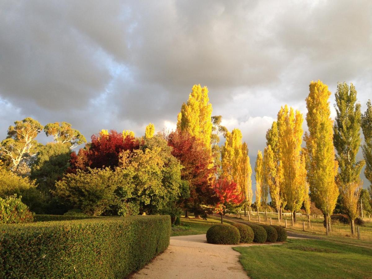 Glen Waverly Farmstay Глен-Иннес Экстерьер фото