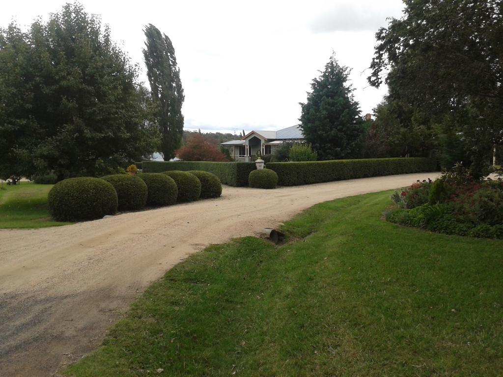 Glen Waverly Farmstay Глен-Иннес Экстерьер фото