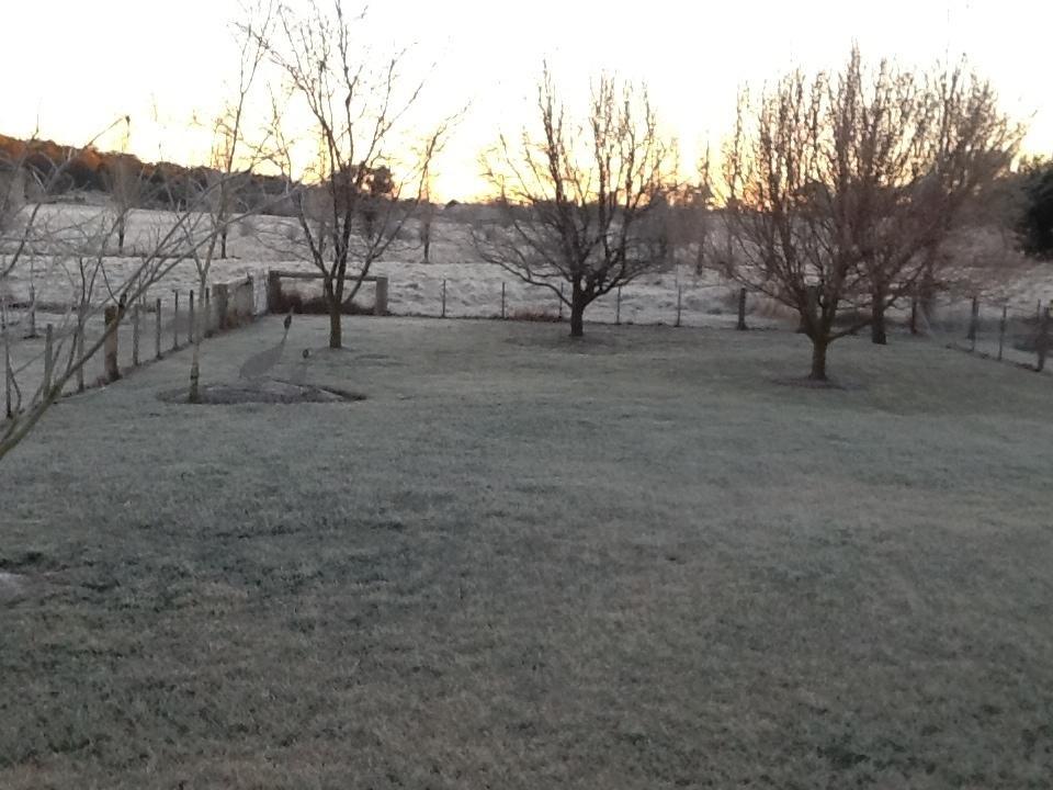 Glen Waverly Farmstay Глен-Иннес Экстерьер фото