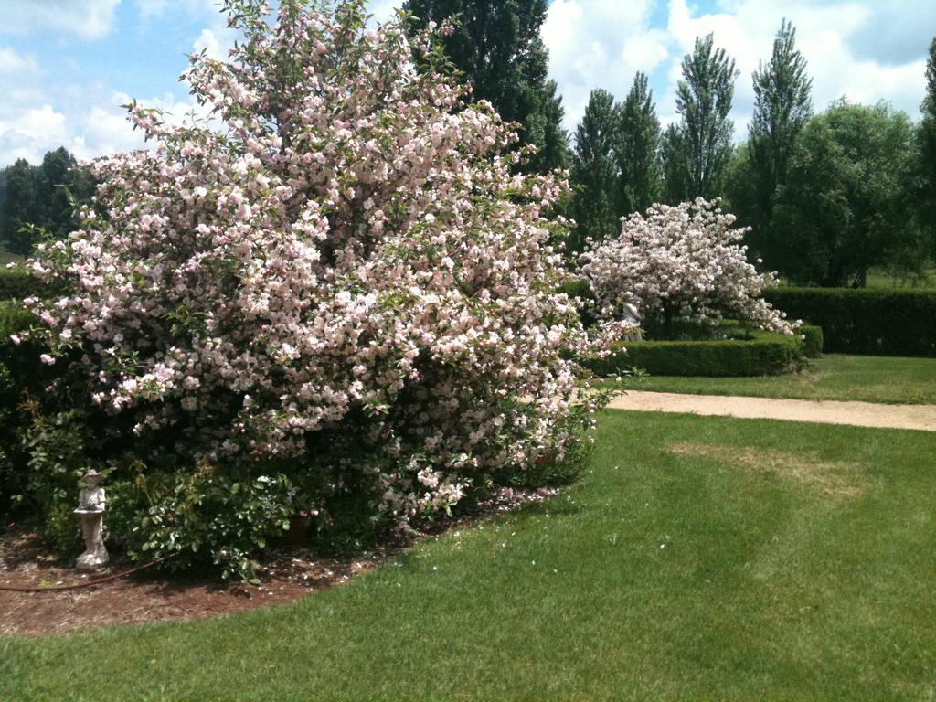 Glen Waverly Farmstay Глен-Иннес Экстерьер фото
